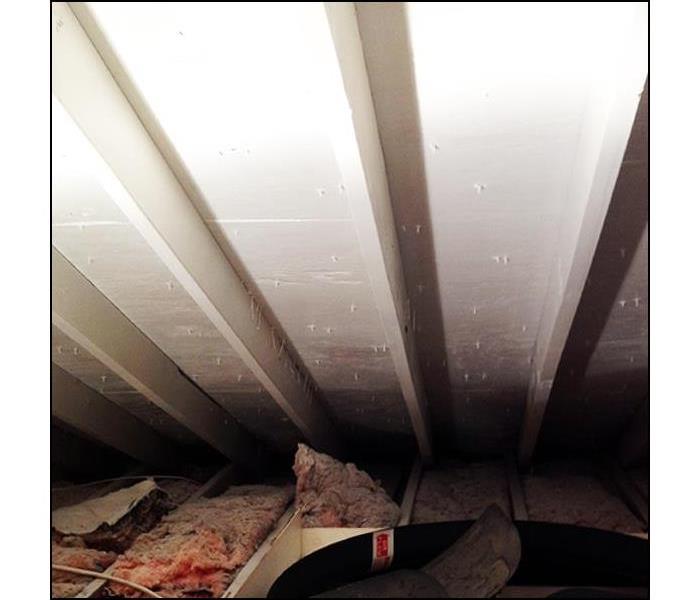 attic rafters cleaned of mold damage