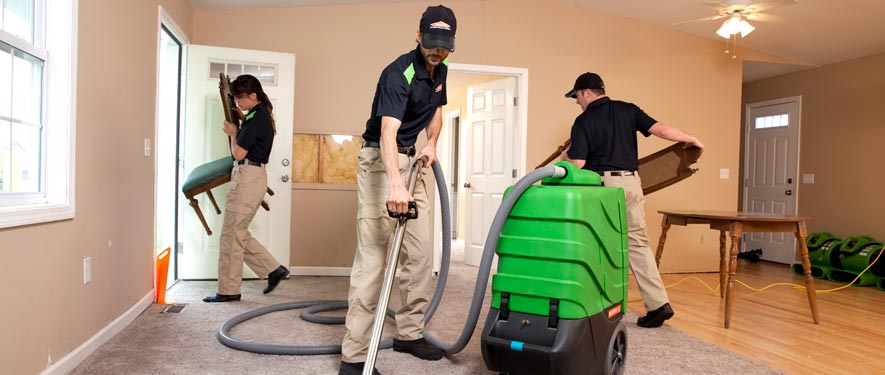 Vernon, NJ cleaning services